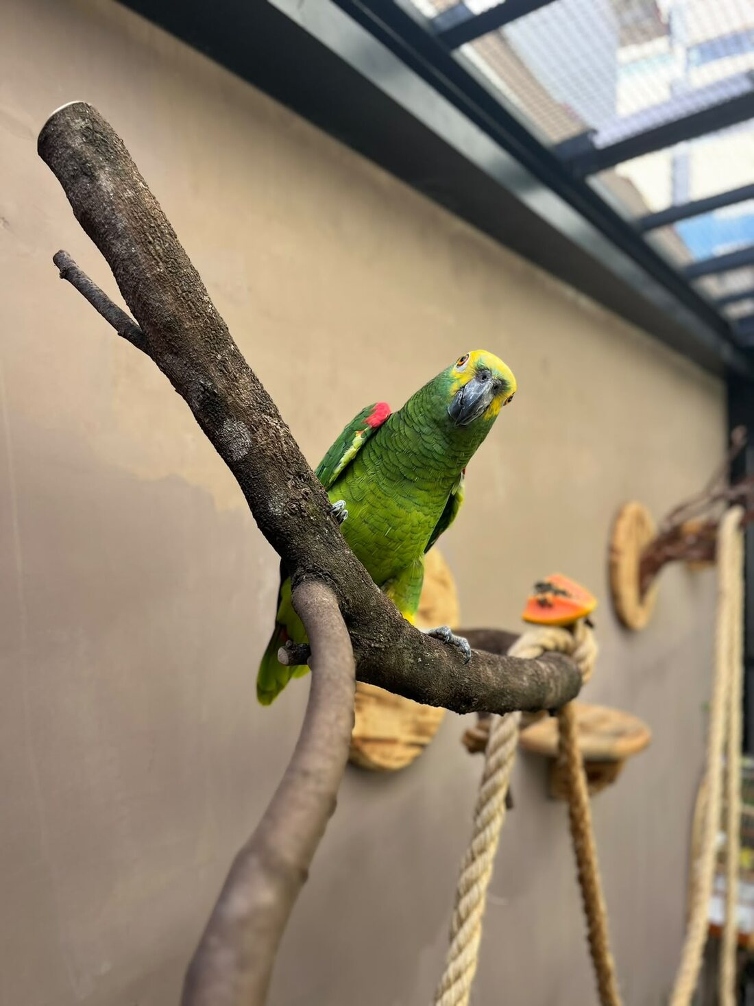 Espaço do hotel para animais silvestres e exóticos